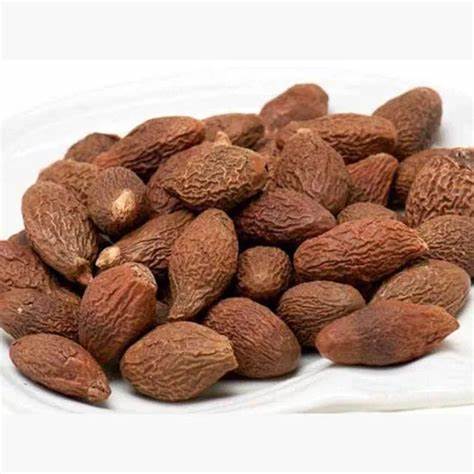 Vietnam Malva Nuts/ Whatsapp: +84 845 639 639 - Buy Scaphium Affine ...