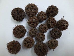 LỘ LỘ THÔNG
